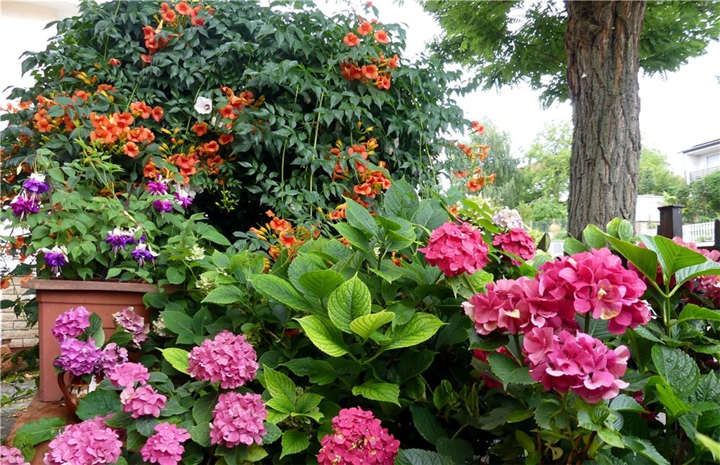 Sommerzeit