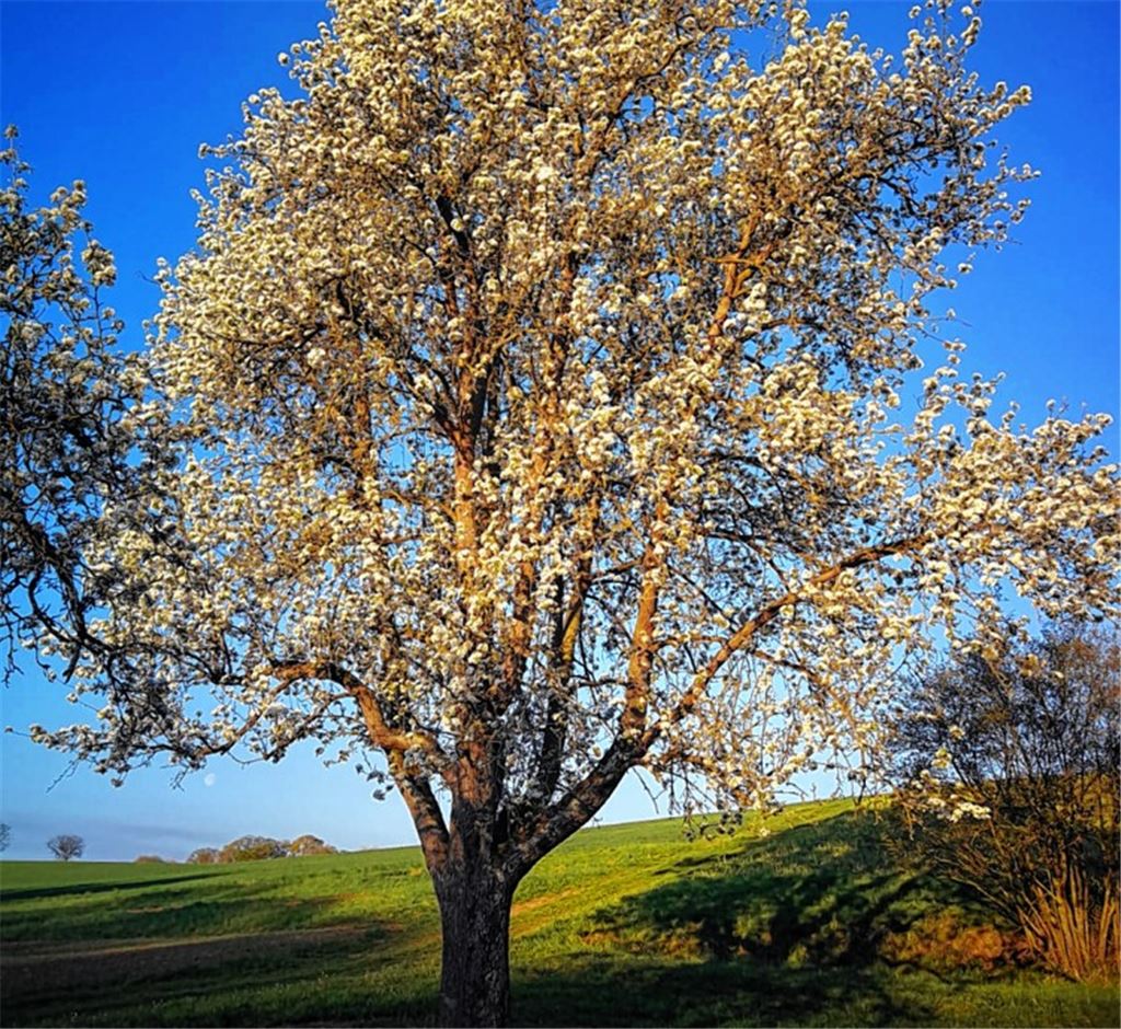 Frühlingsgefühle