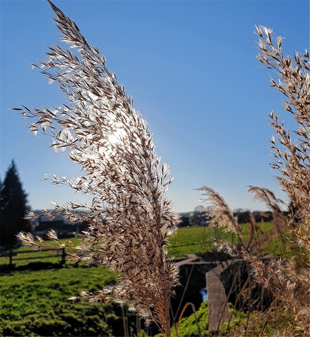 Frühlingsgefühle