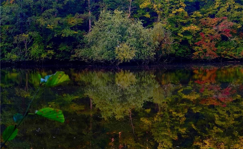 Herbstfarben