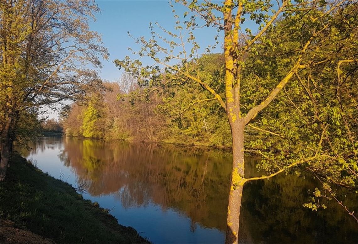 Frühlingsgefühle