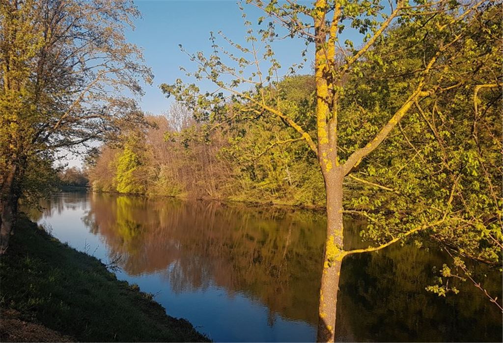 Frühlingsgefühle