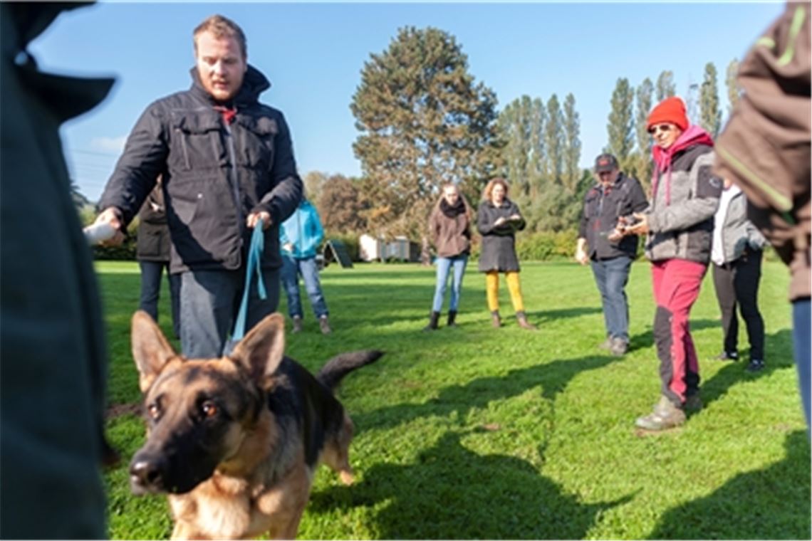 Hunde-Expertin Michaela Knoche gibt Haltern in Mühlacker Tipps