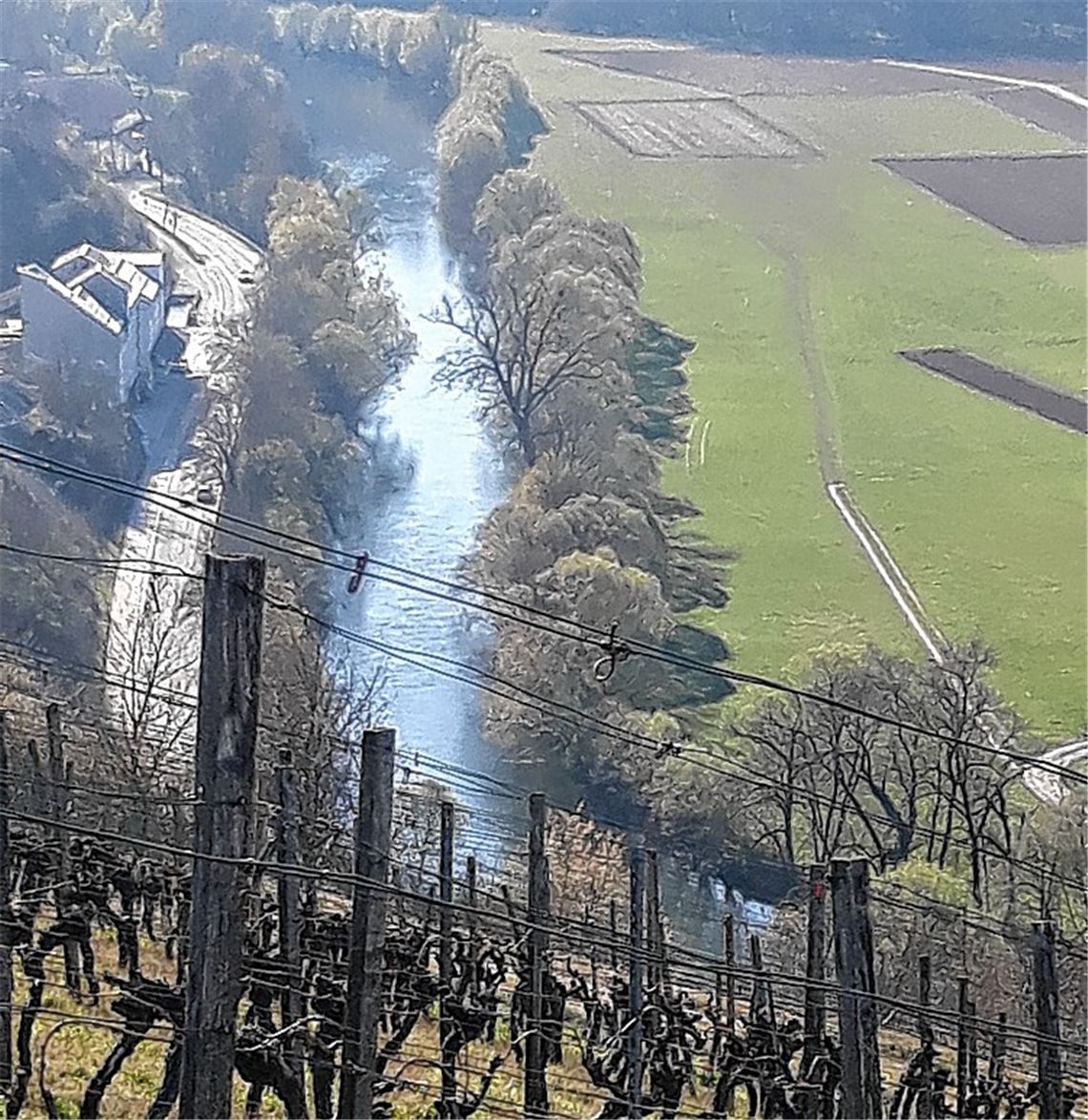 Frühlingsgefühle