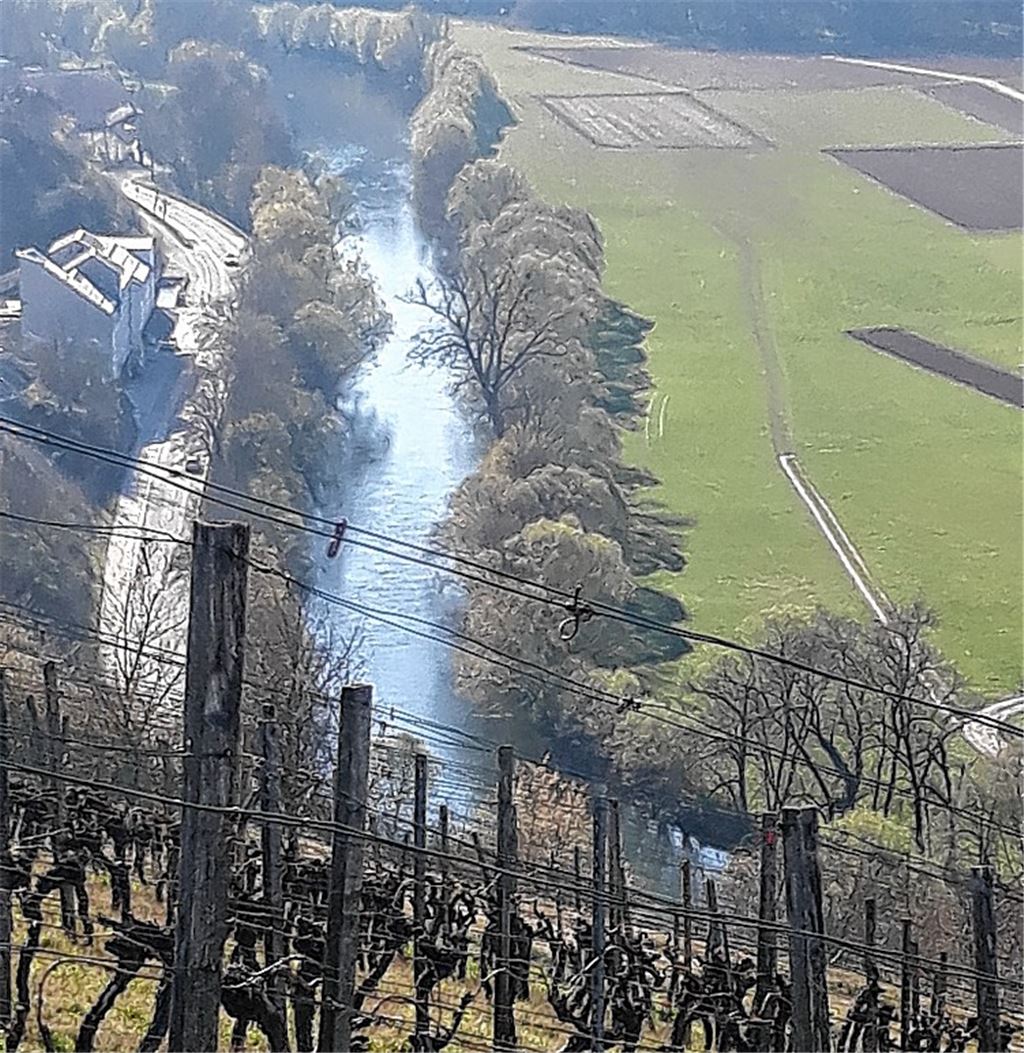 Frühlingsgefühle