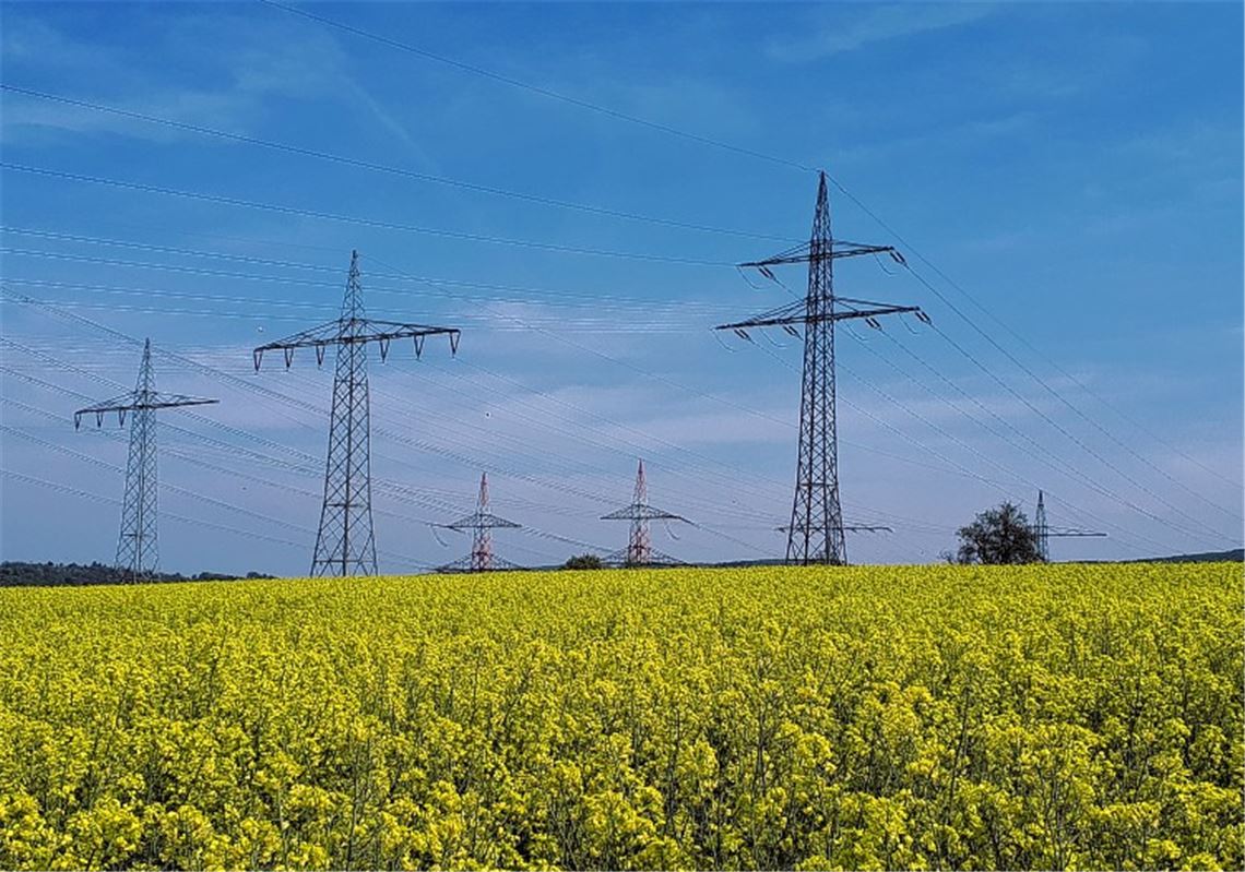 Frühlingsgefühle