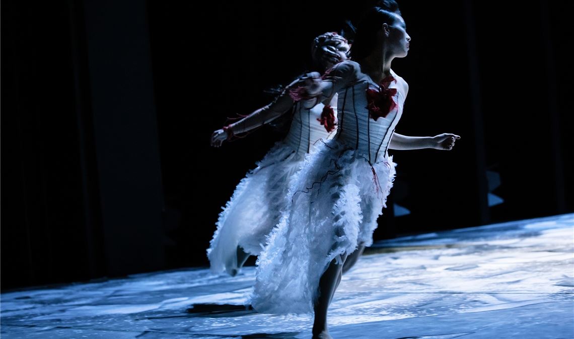 Pforzheimer Ballett-Formation tanzt auf der Expo in Dubai