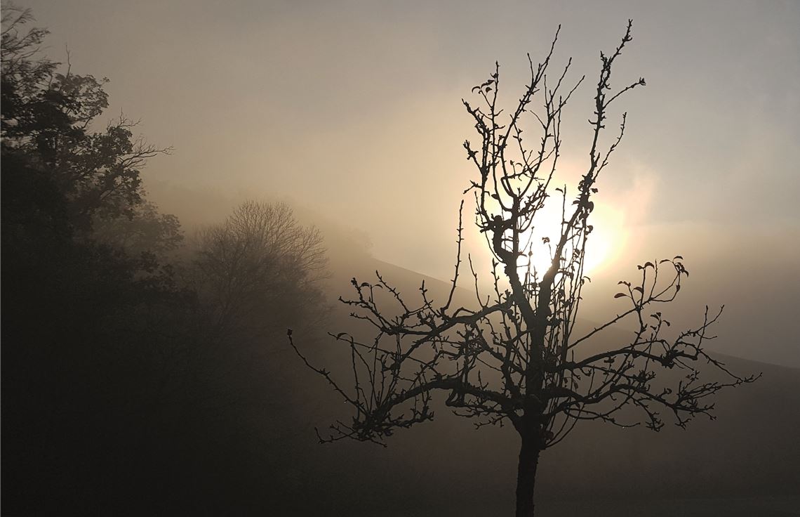 Gedenken an die Toten in trauriger Zeit