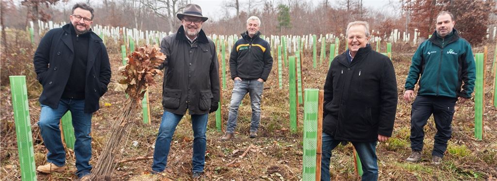 Hoffnungsträger sollen Wurzeln schlagen