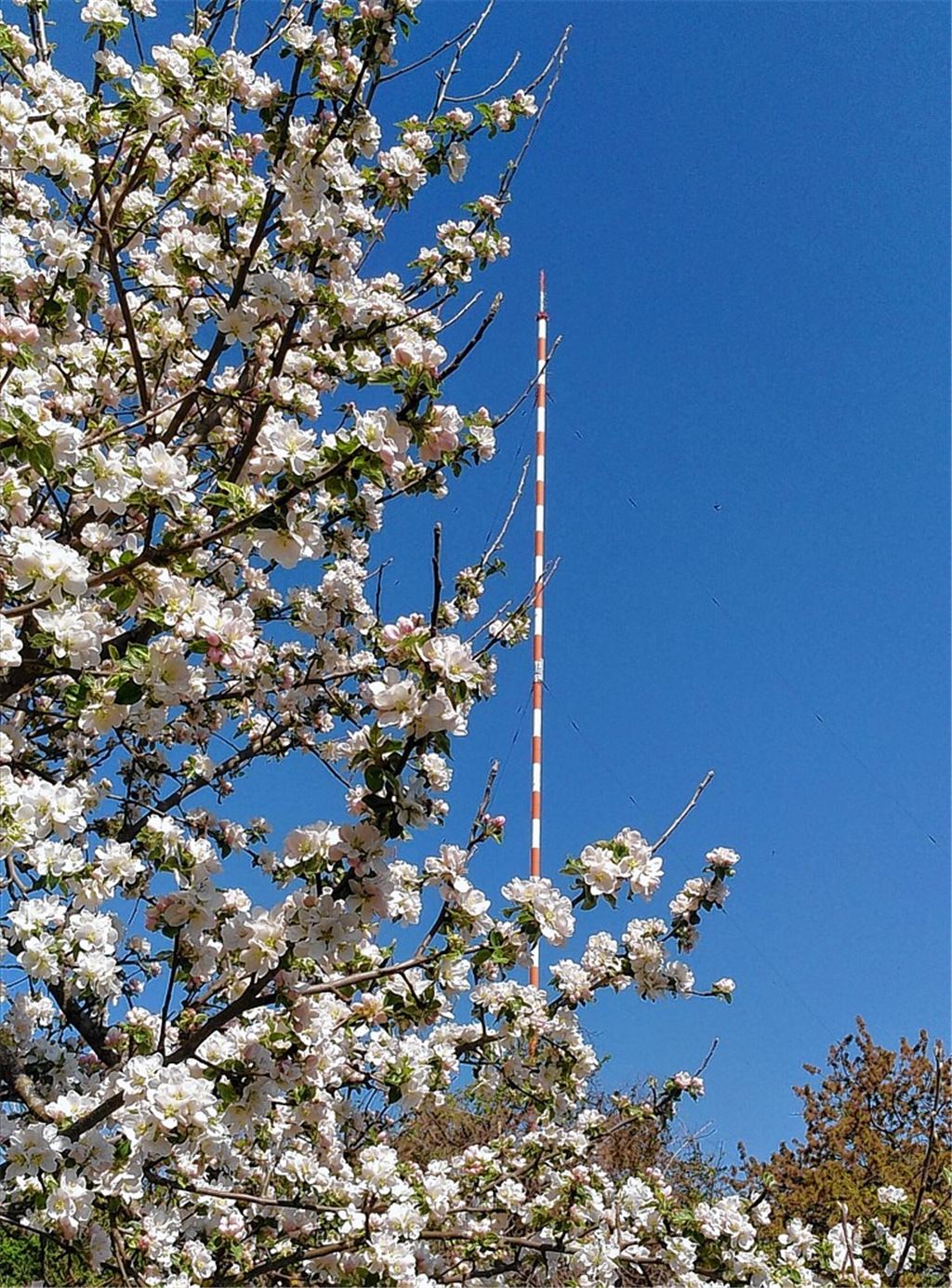 Frühlingsgefühle