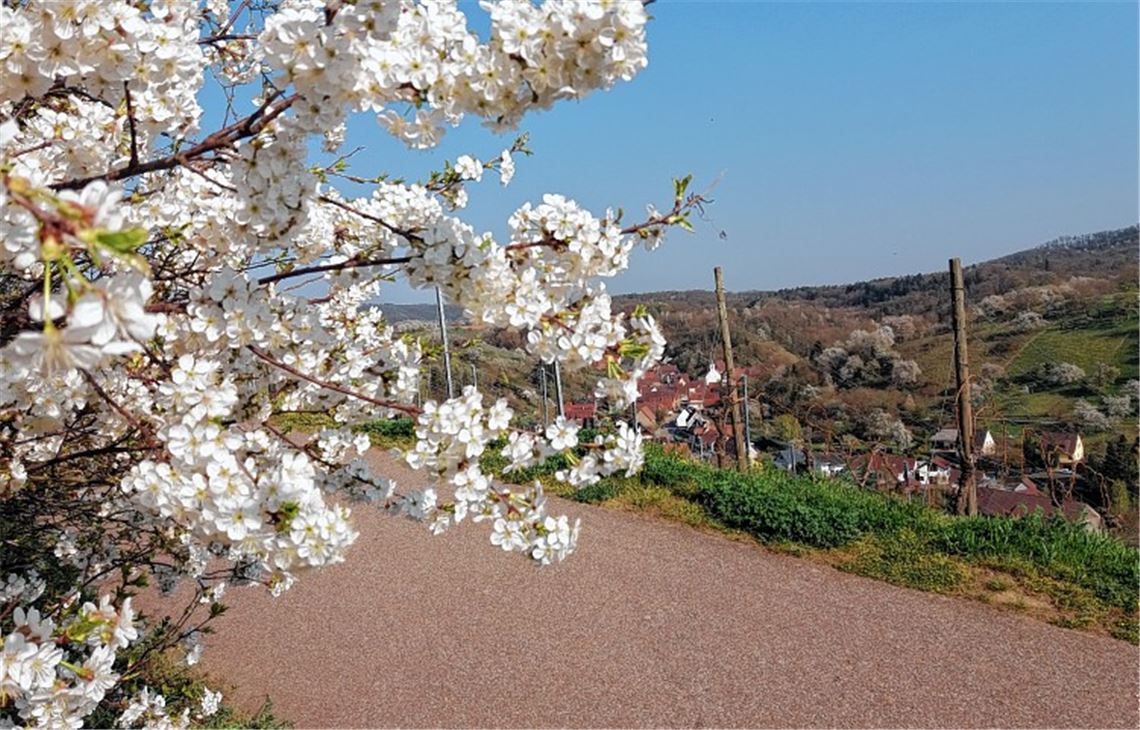 Frühlingsgefühle