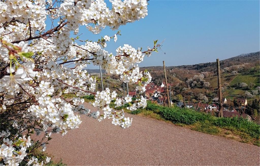 Frühlingsgefühle