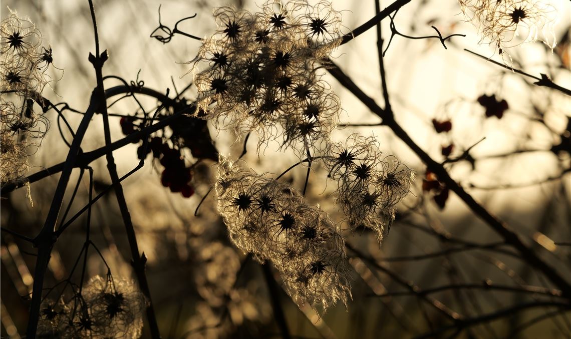 Winterzeit