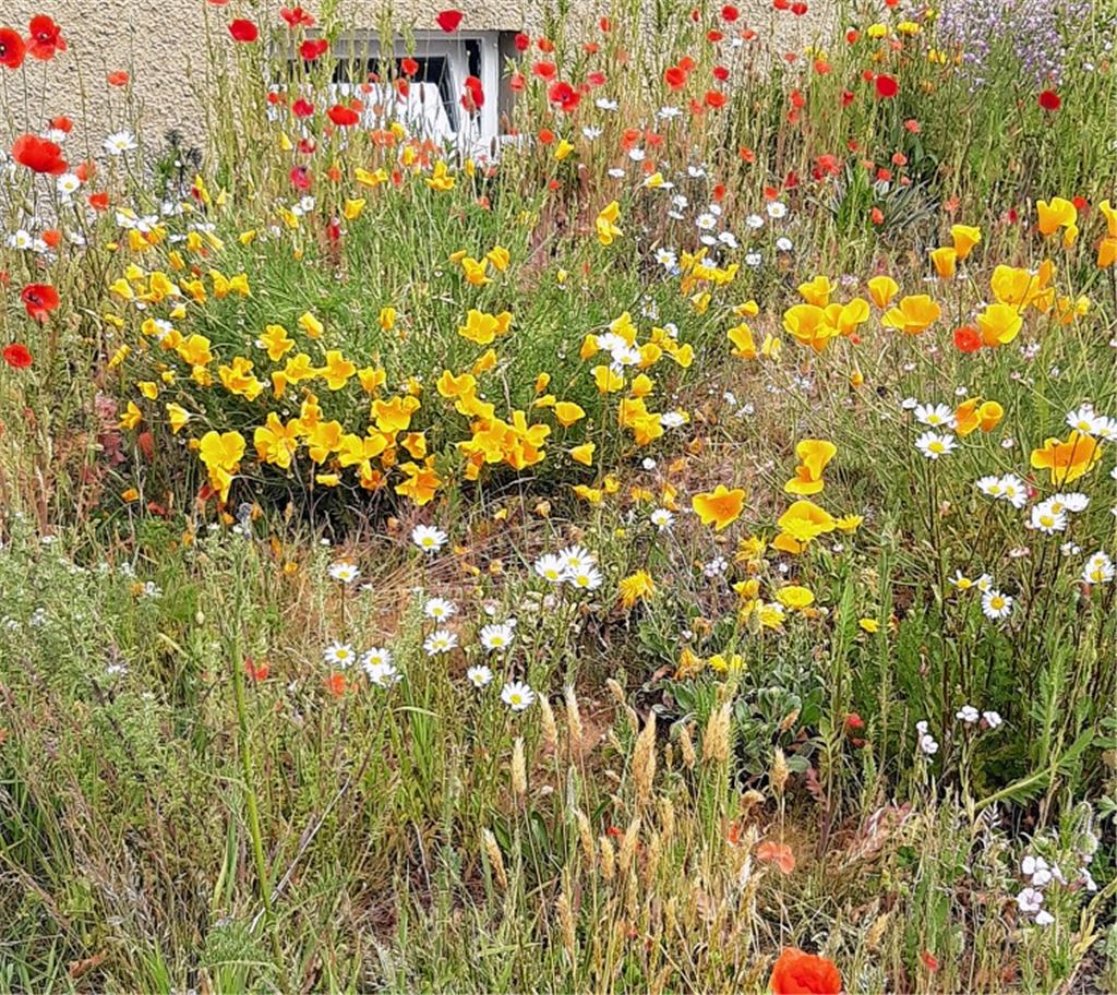 Frühlingsgefühle
