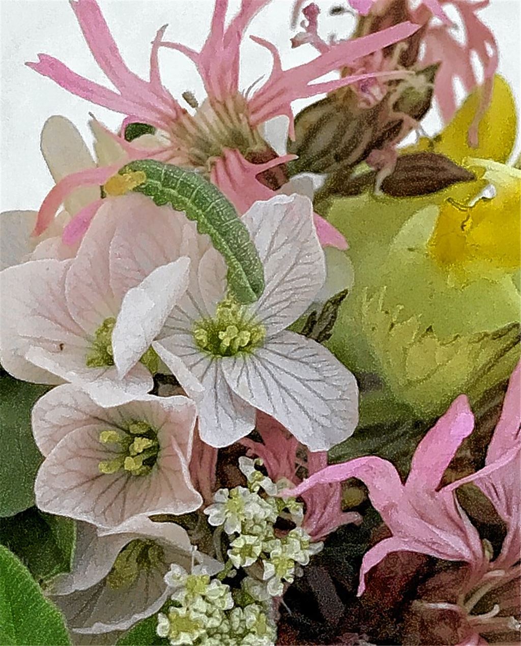 Frühlingsgefühle