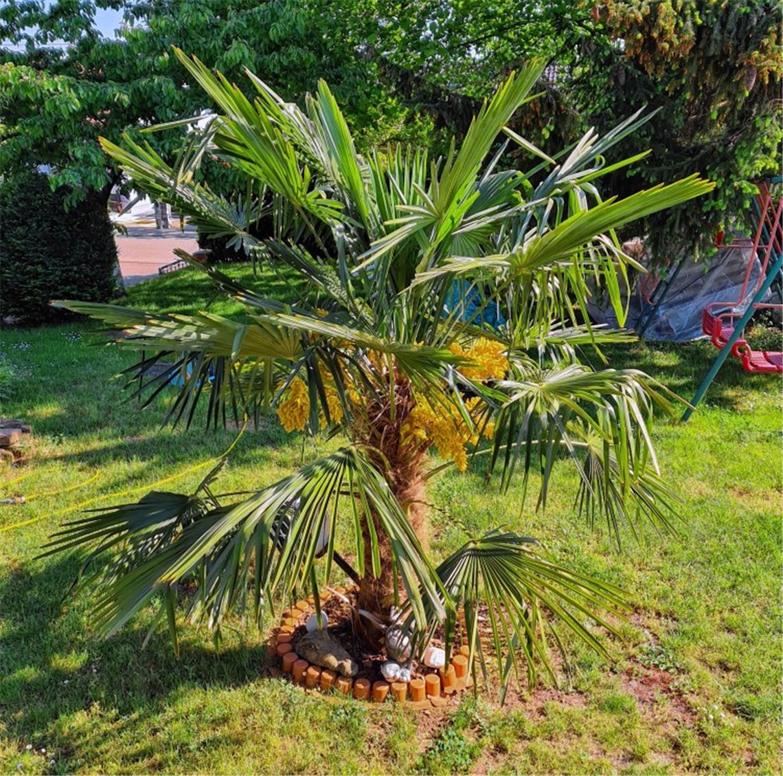Frühlingsgefühle