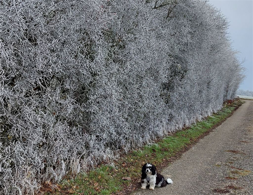 Winterzeit