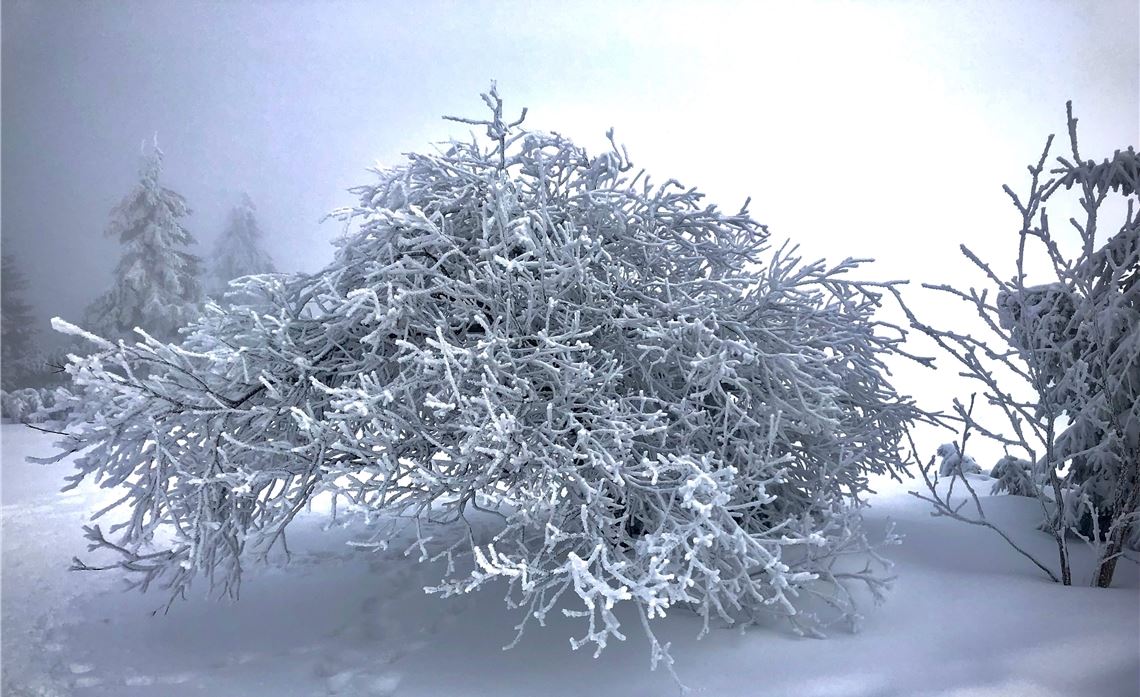 Winterzeit