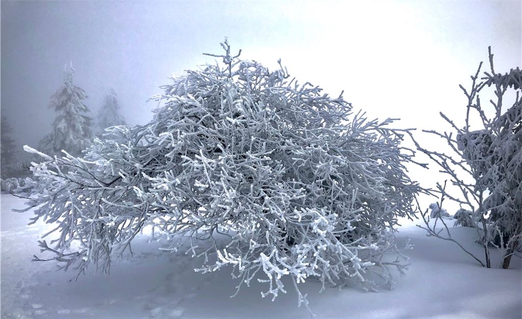 Winterzeit