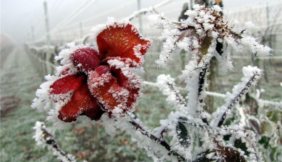 Winterzeit Winterzeit