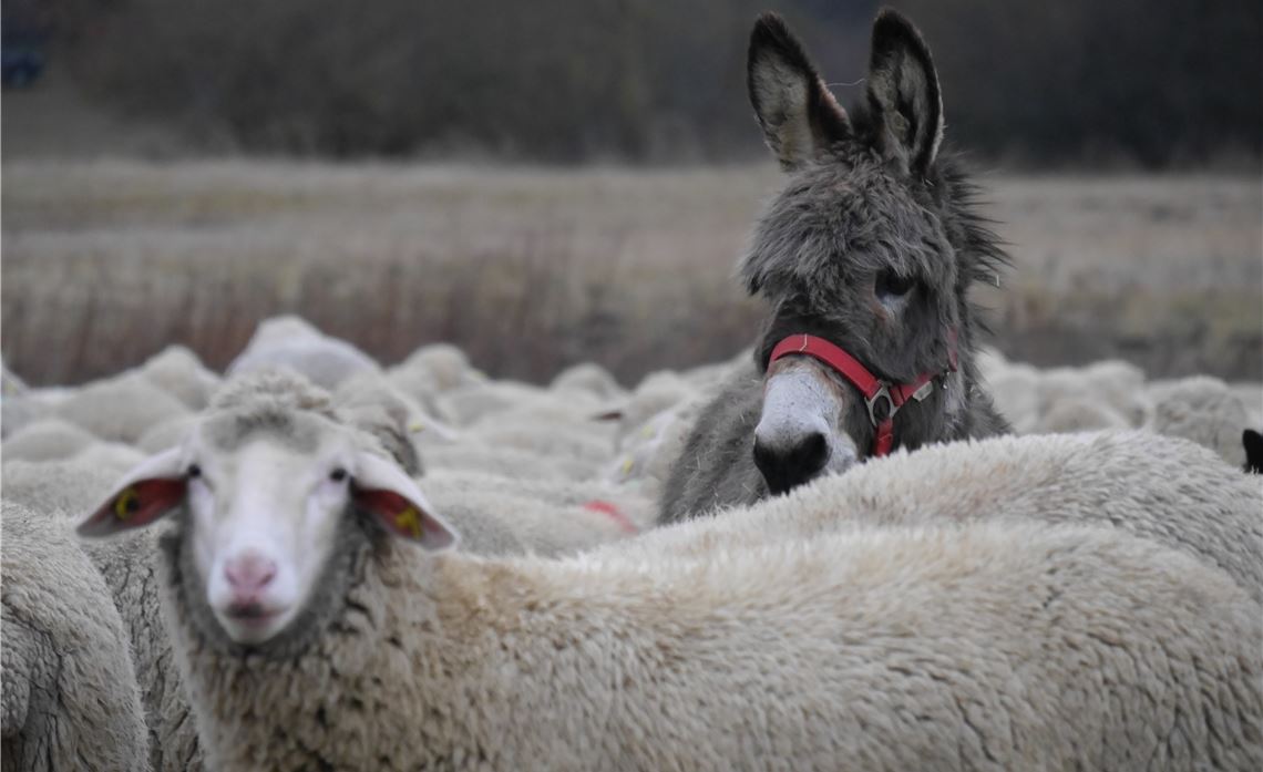 Winterzeit