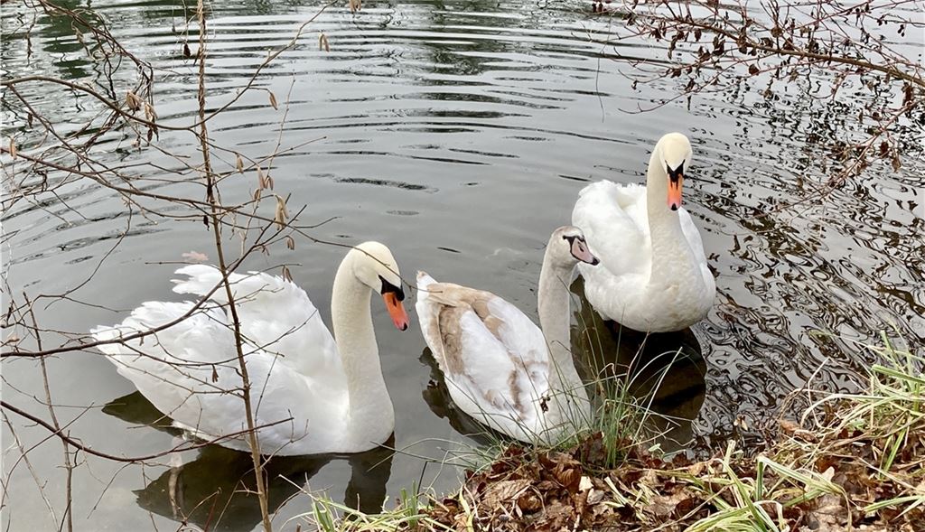 Winterzeit