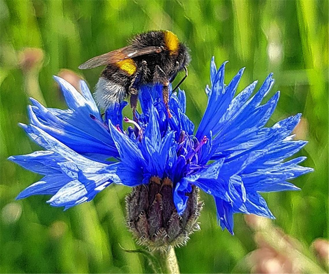 Sommerzeit