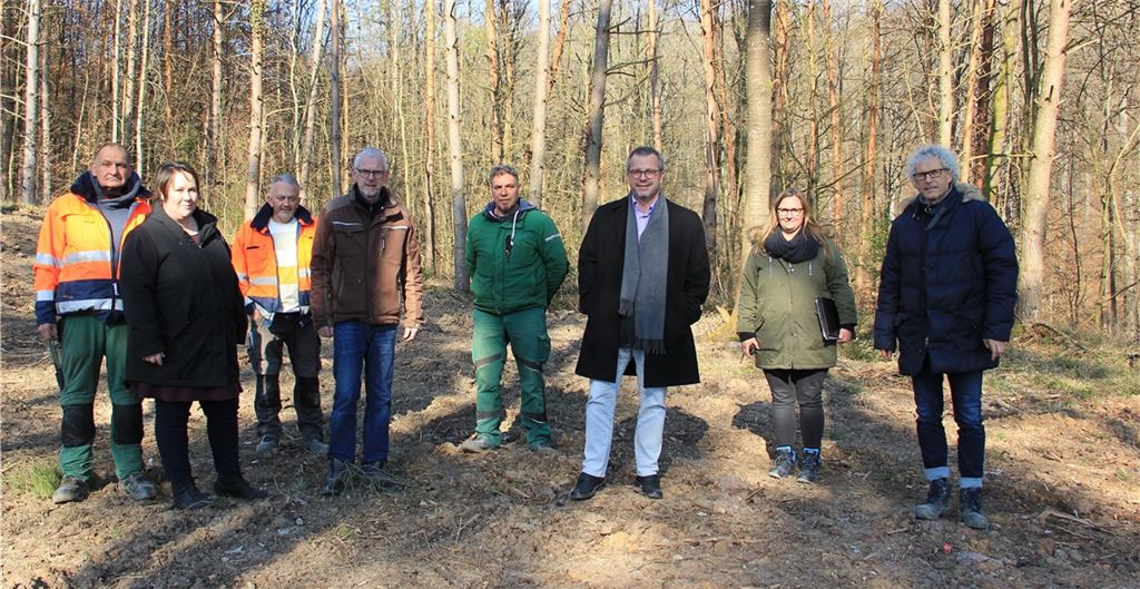 Ruhewald für Maulbronn
