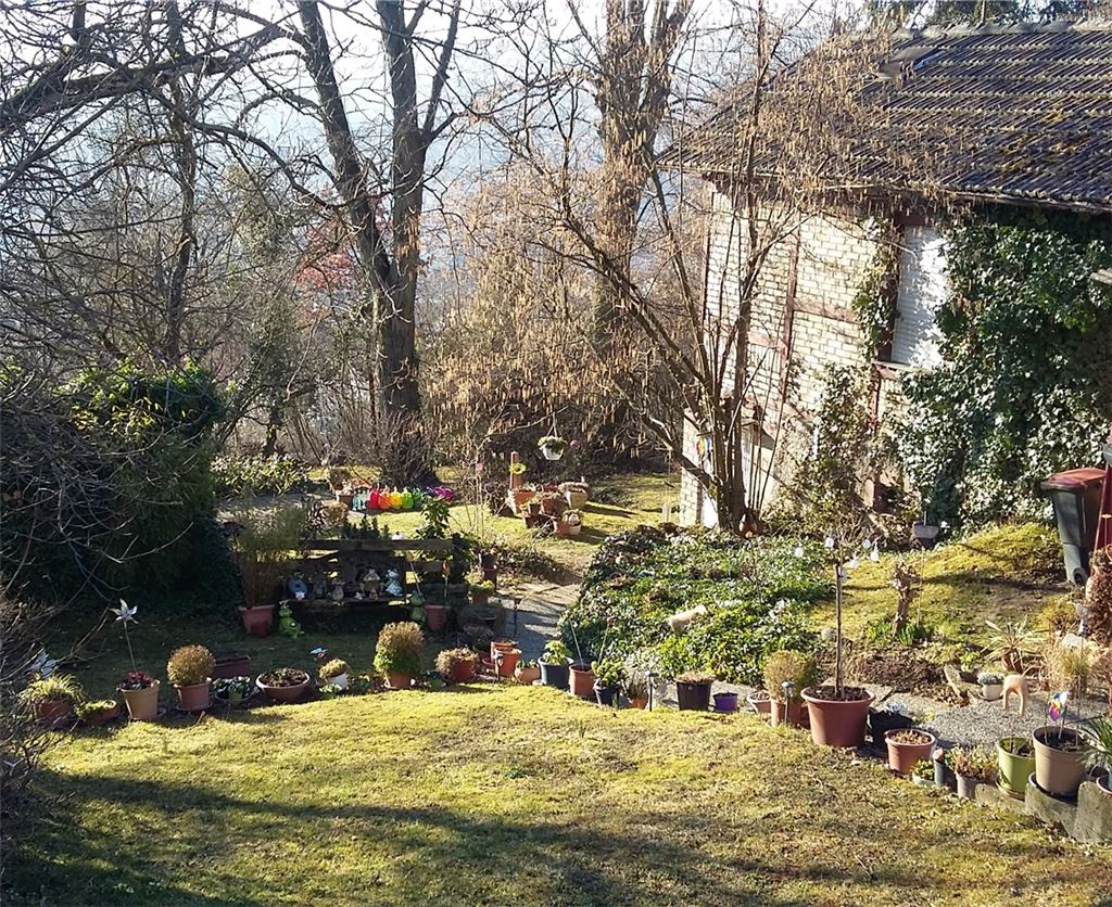 Frühlingsgefühle