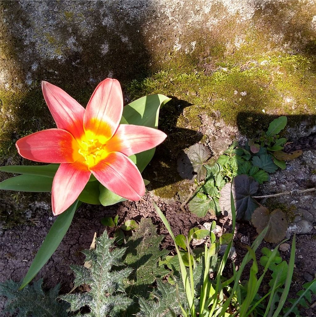 Frühlingsgefühle