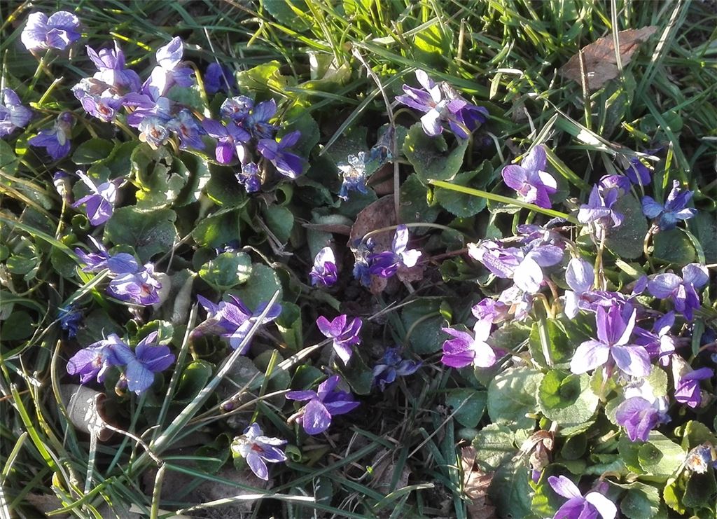 Frühlingsgefühle
