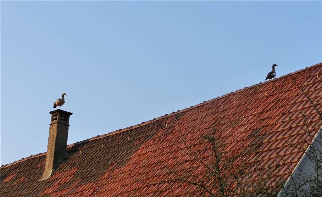 Frühlingsgefühle