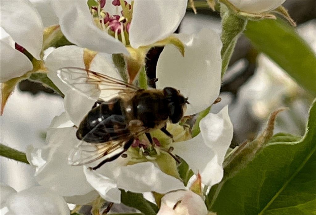 Frühlingsgefühle