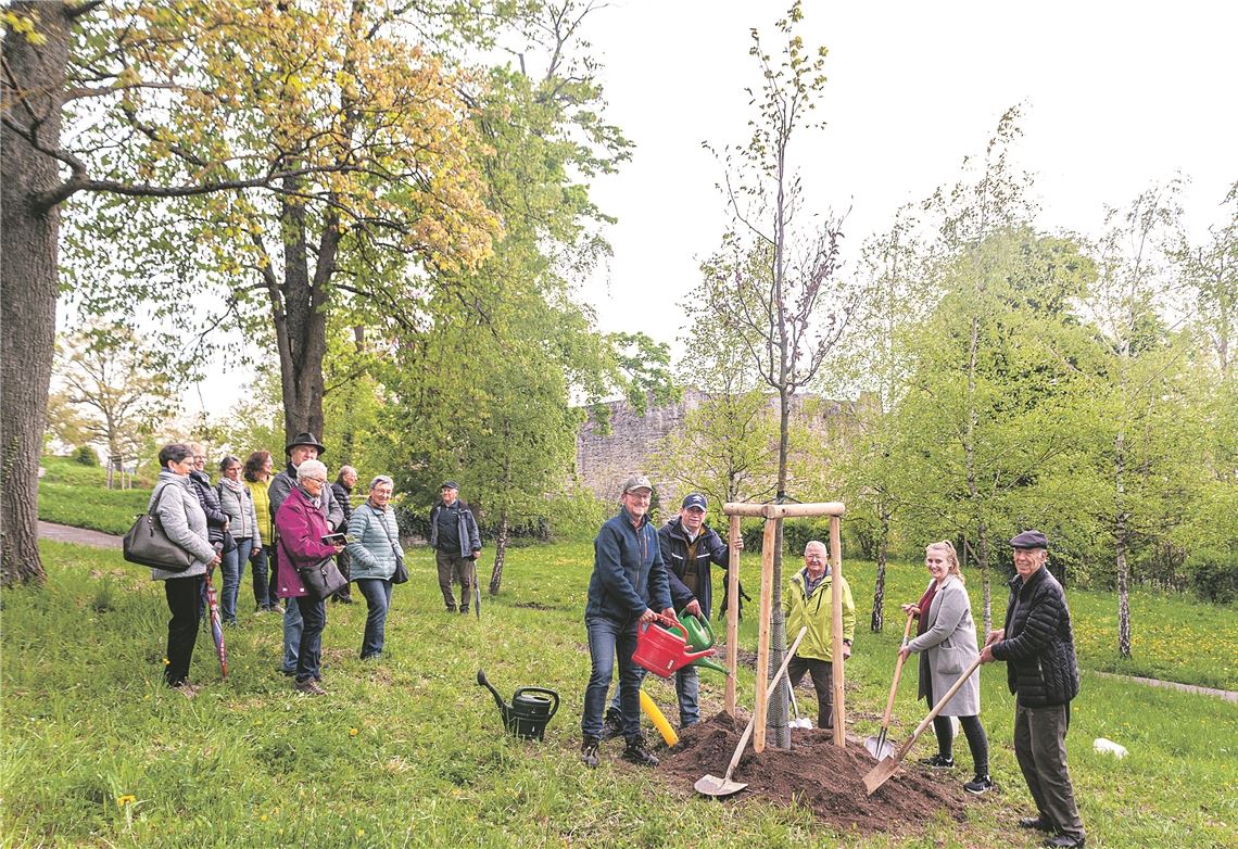 Pluspunkte für das Ökokonto der Stadt Pluspunkte für das Ökokonto der Stadt