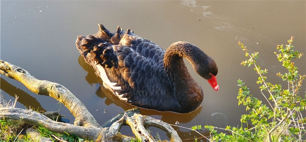 Frühlingsgefühle
