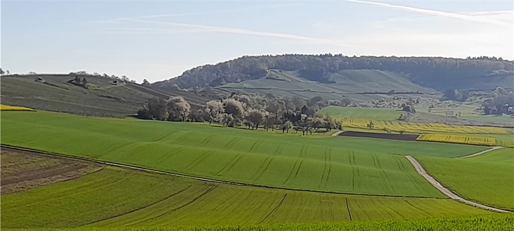 Frühlingsgefühle
