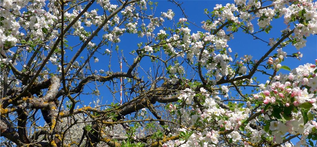 Frühlingsgefühle