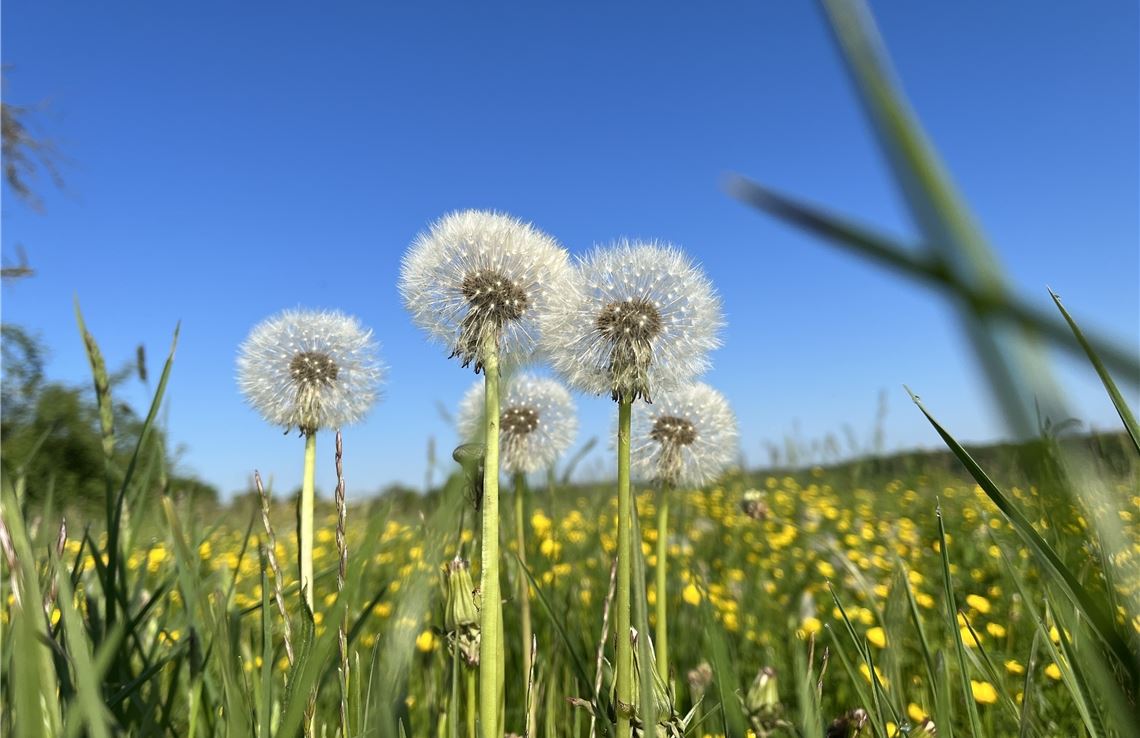 Frühlingsgefühle Frühlingsgefühle