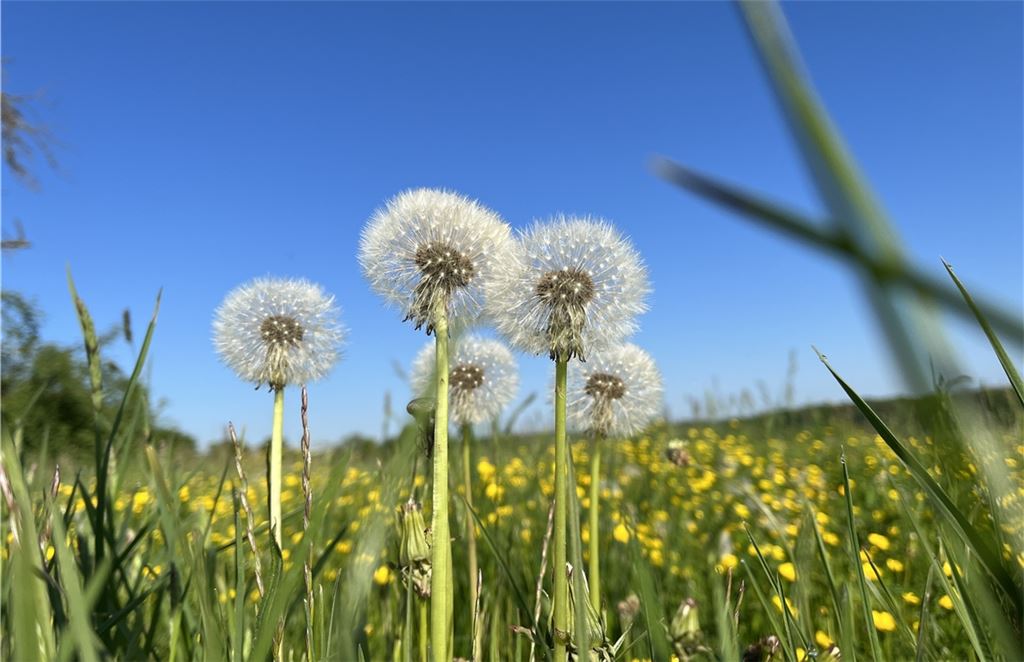 Frühlingsgefühle