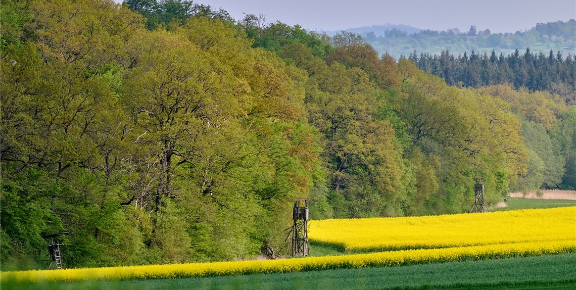 Frühlingsgefühle Frühlingsgefühle