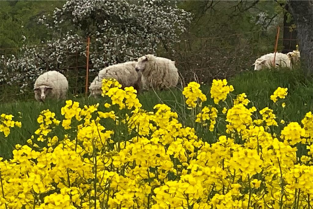 Frühlingsgefühle