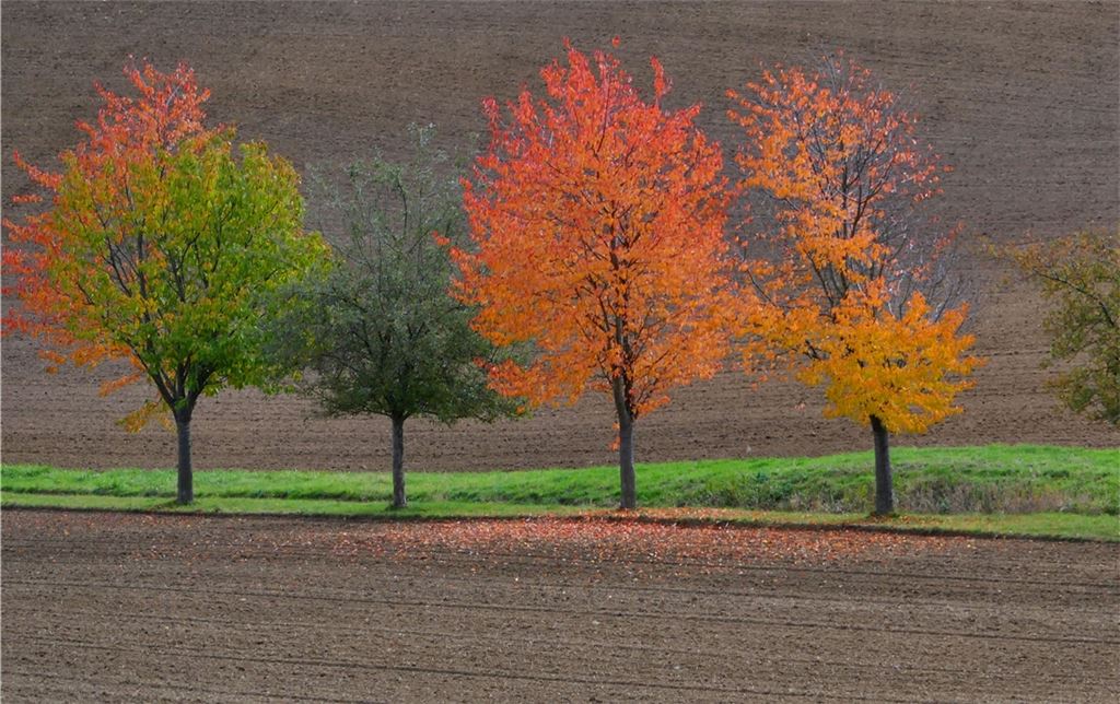 Herbstfarben