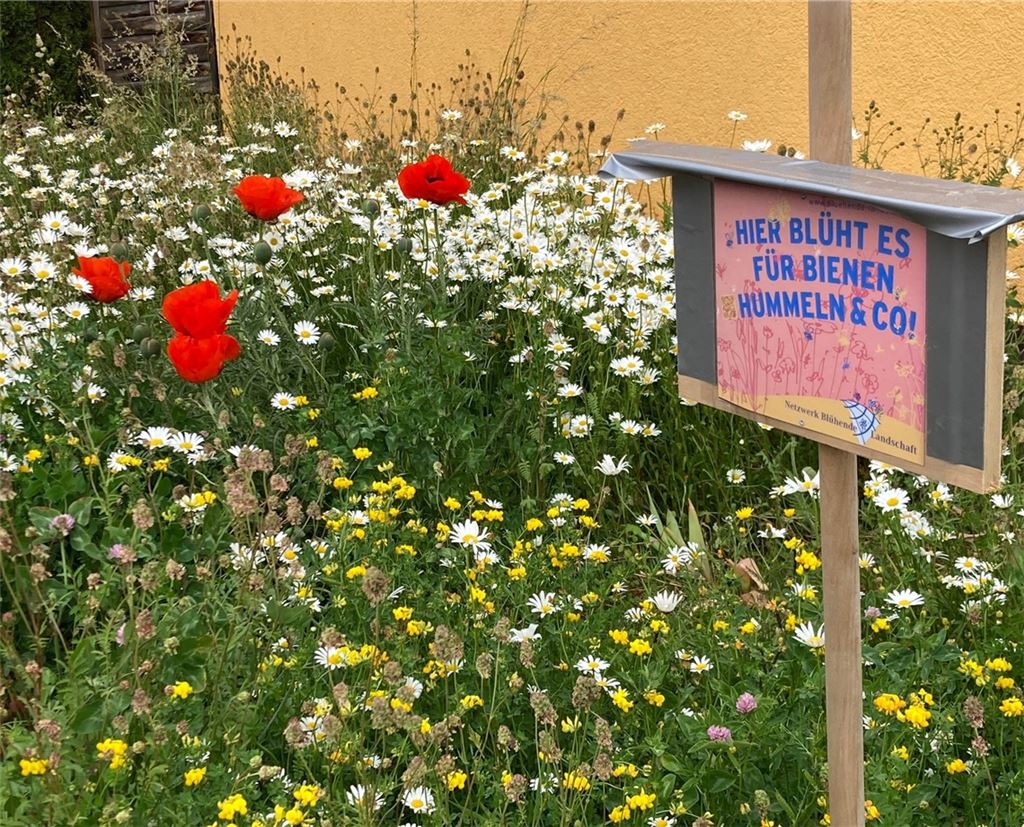Frühlingsgefühle