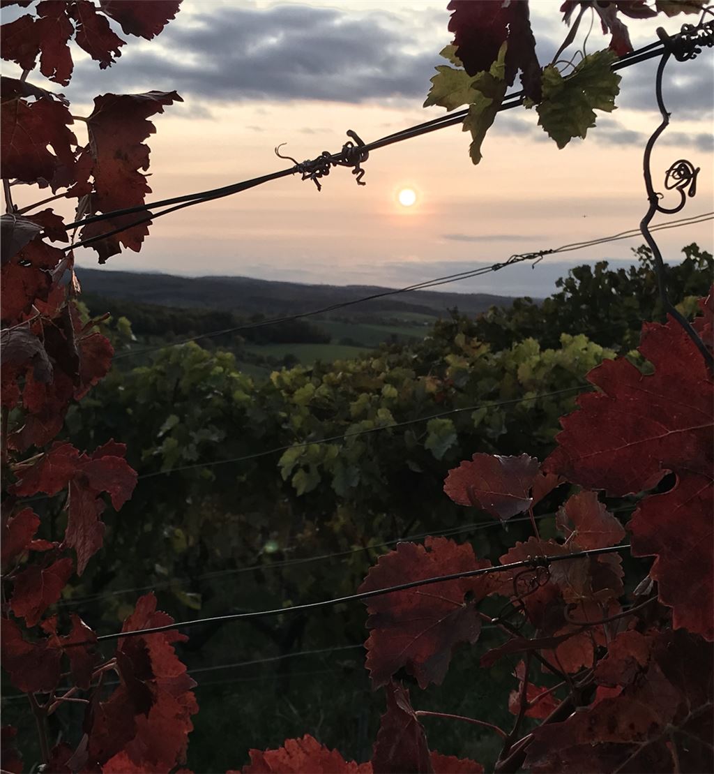 Herbstfarben