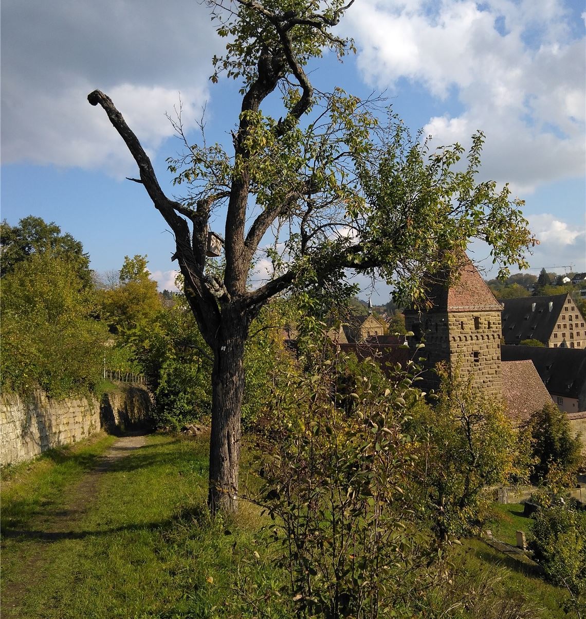 Herbstfarben Herbstfarben