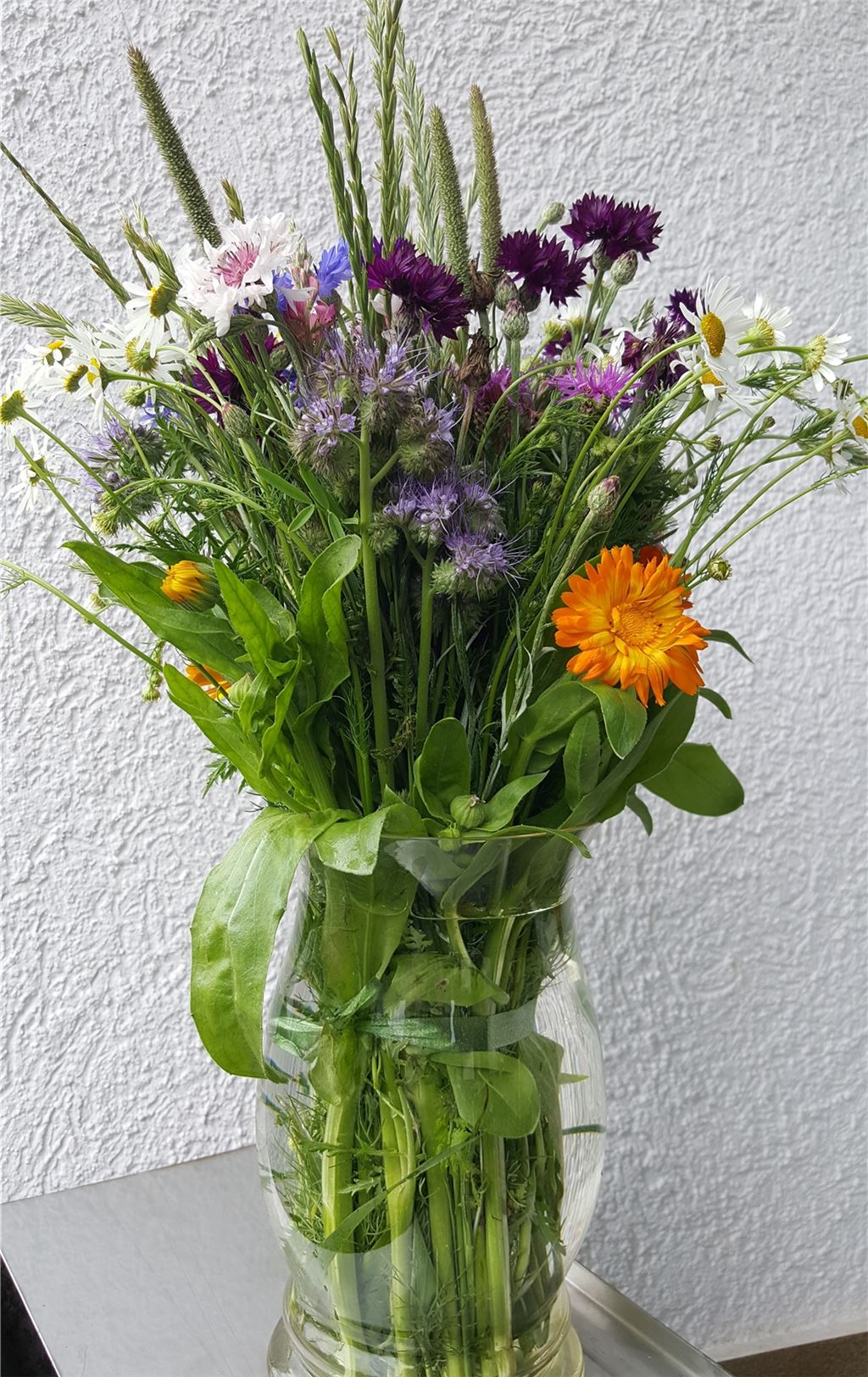 Sommerzeit