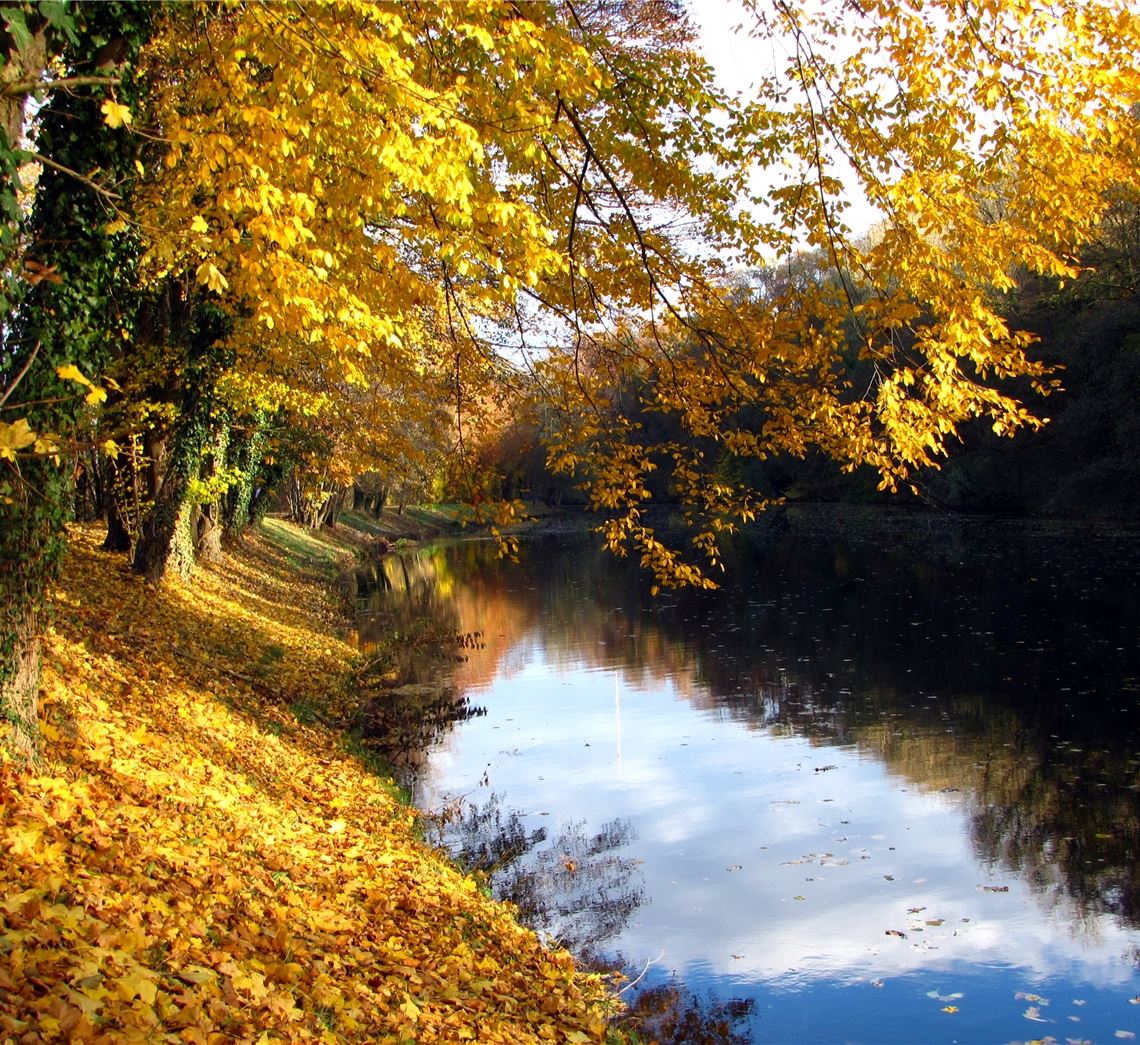 Herbstfarben Herbstfarben