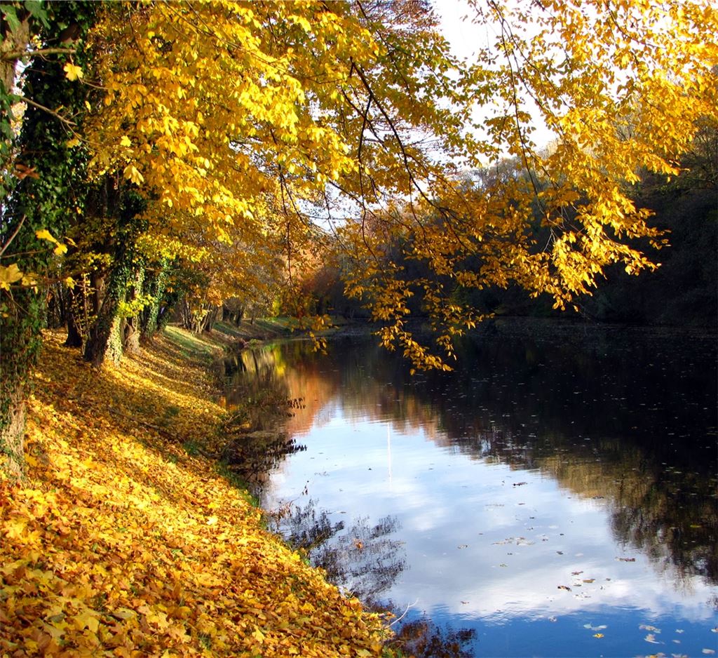 Herbstfarben