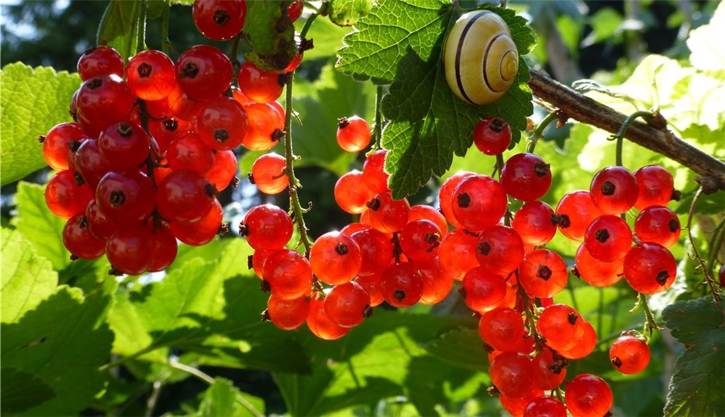 Sommerzeit