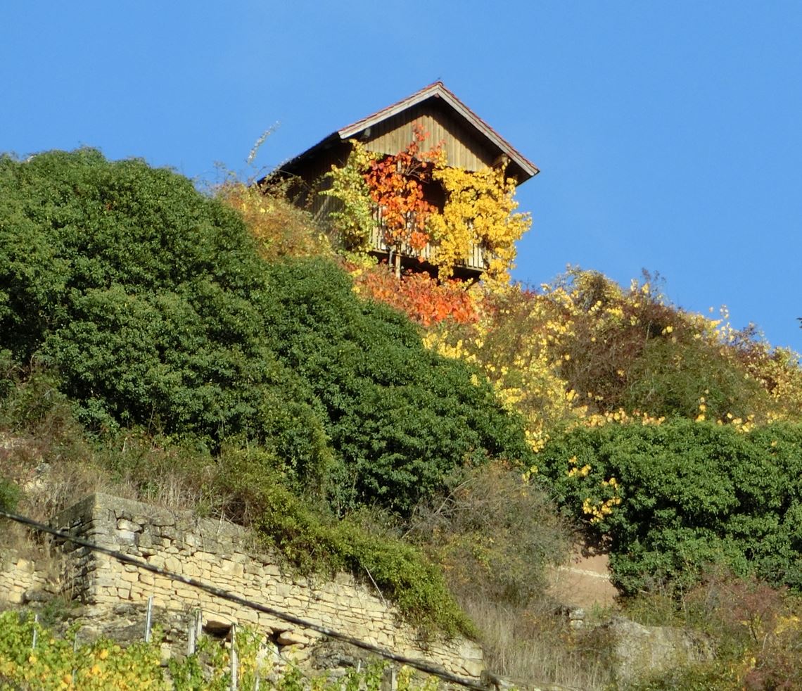Herbstfarben Herbstfarben